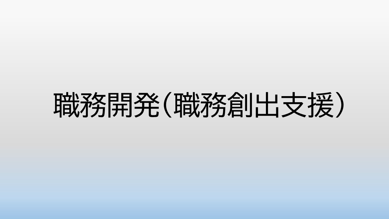 職務開発（職務創出支援）