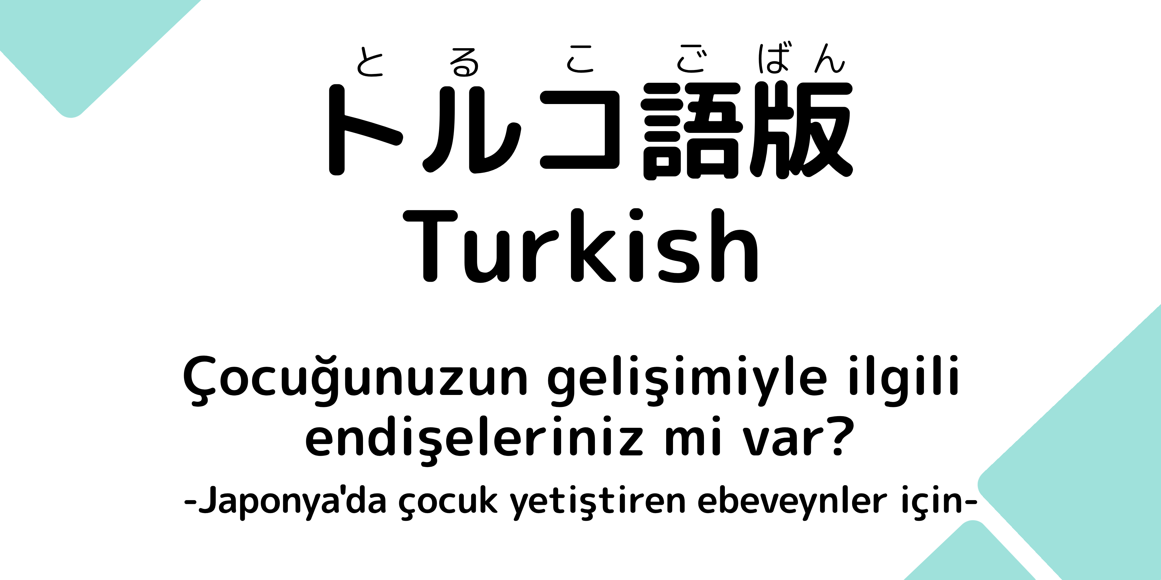 トルコ語版